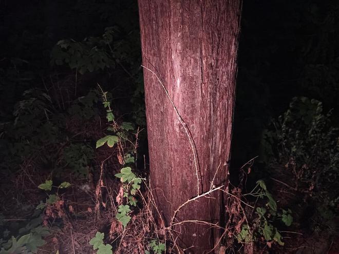 超轻超能！Fenix小魔方头灯体验让你爱不释手！(图20)